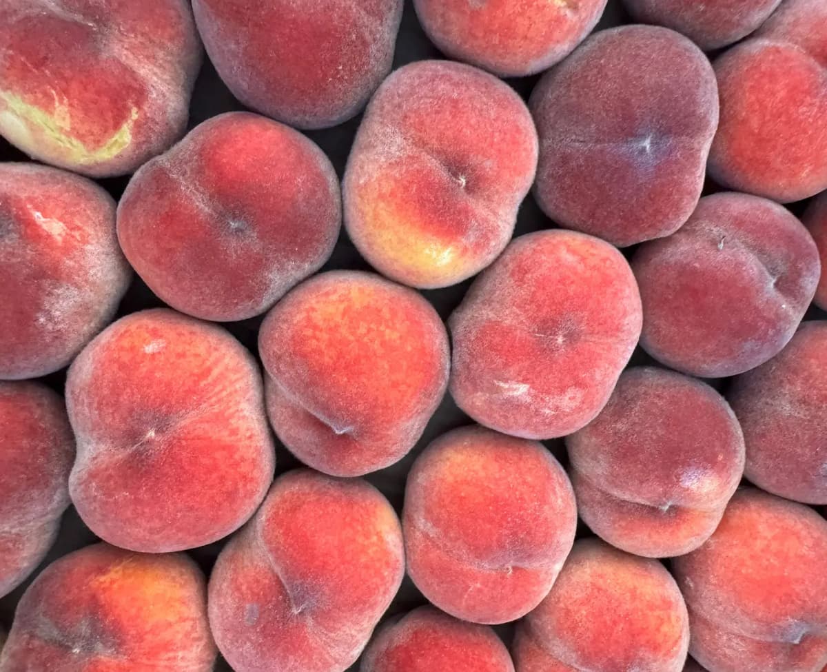 Закупщик выбирает продукты на оптовом рынке