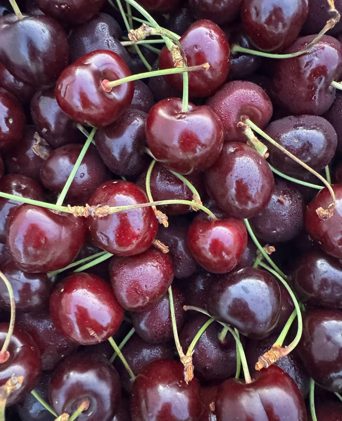 Александр выбирает продукты на оптовом рынке